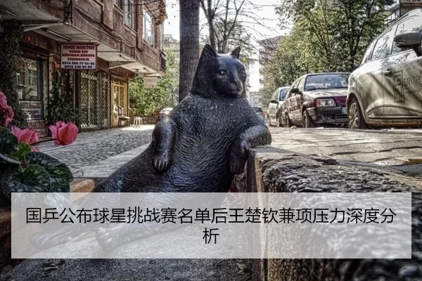 国乒公布球星挑战赛名单后王楚钦兼项压力深度分析